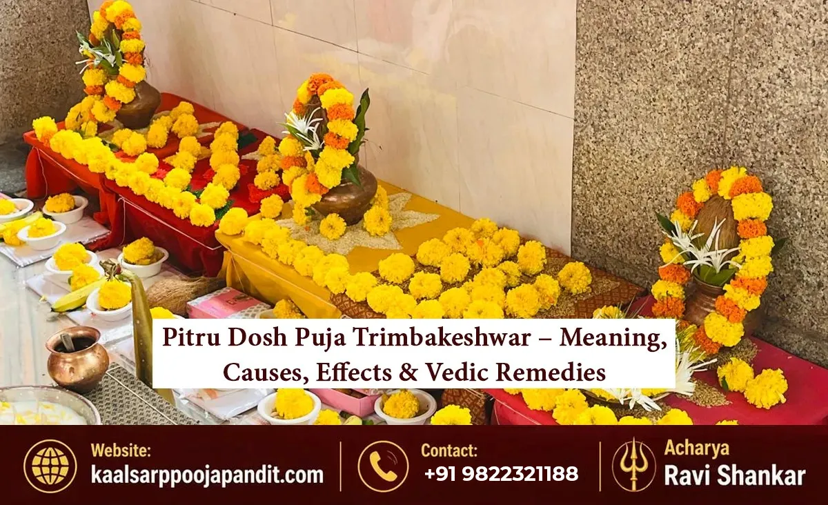 Pitru Dosh Puja Trimbakeshwar – Meaning, Causes, Effects & Vedic Remedies