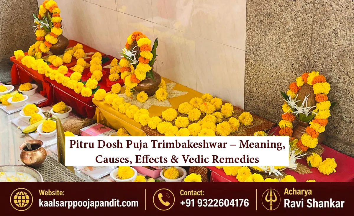 Pitru Dosh Puja Trimbakeshwar – Meaning, Causes, Effects & Vedic Remedies