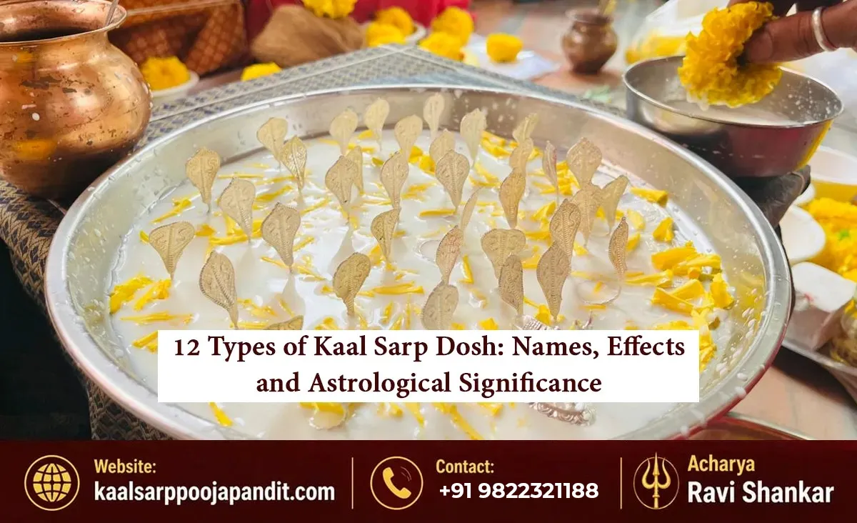 12 Types of Kaal Sarp Dosh Names, Effects and Astrological Significance